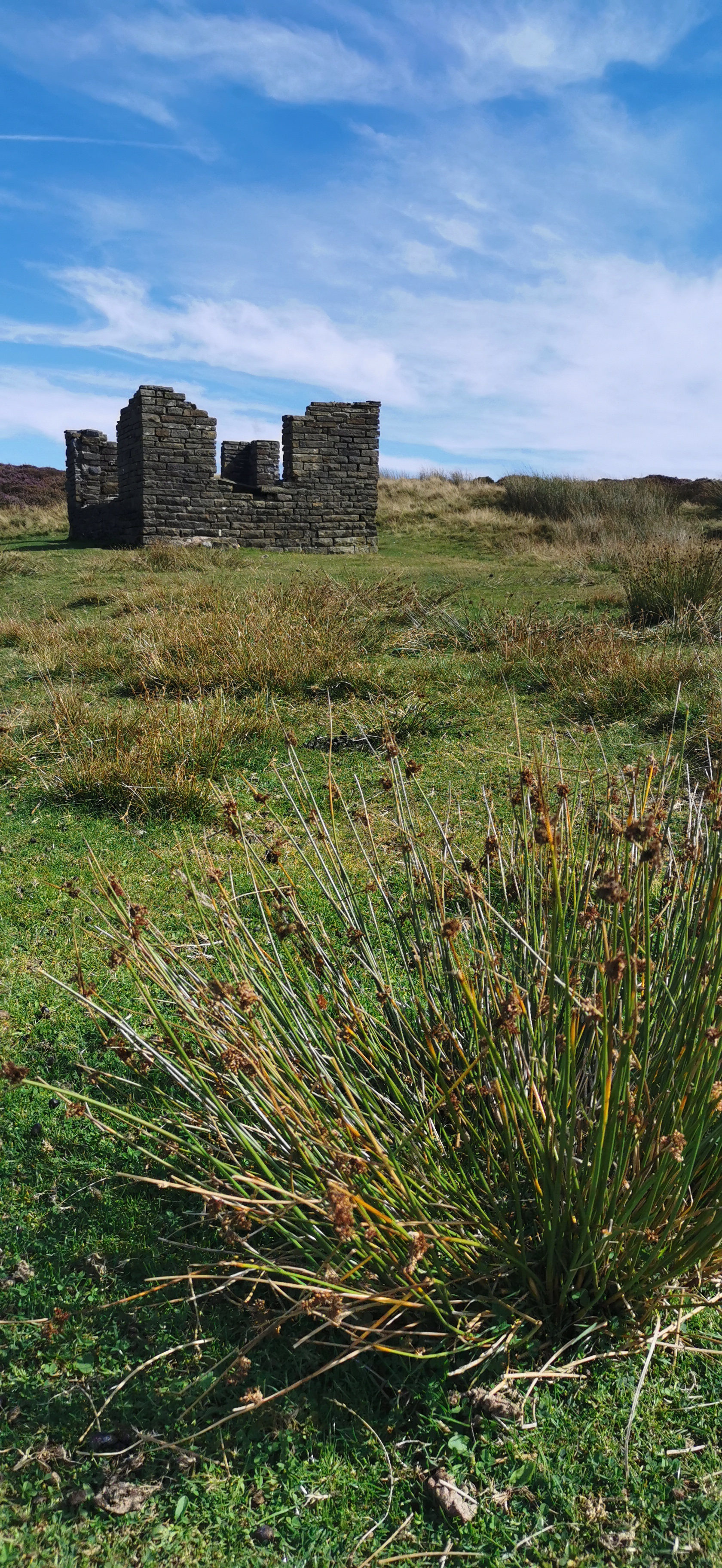 Photo taken between Cock Hill and Glossop Low Cabin